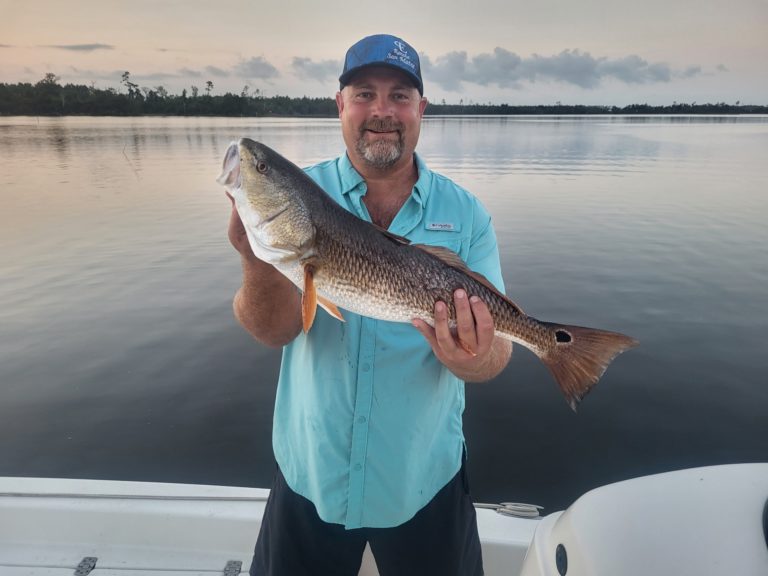 nice red fish with spot